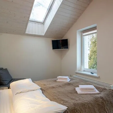 Σαλέ білий лев - White Lion Μπούκοβελ