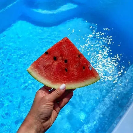 Σαλέ білий лев - White Lion