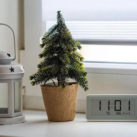 білий лев - White Lion *